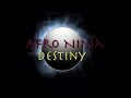 Afro Ninja: Destiny