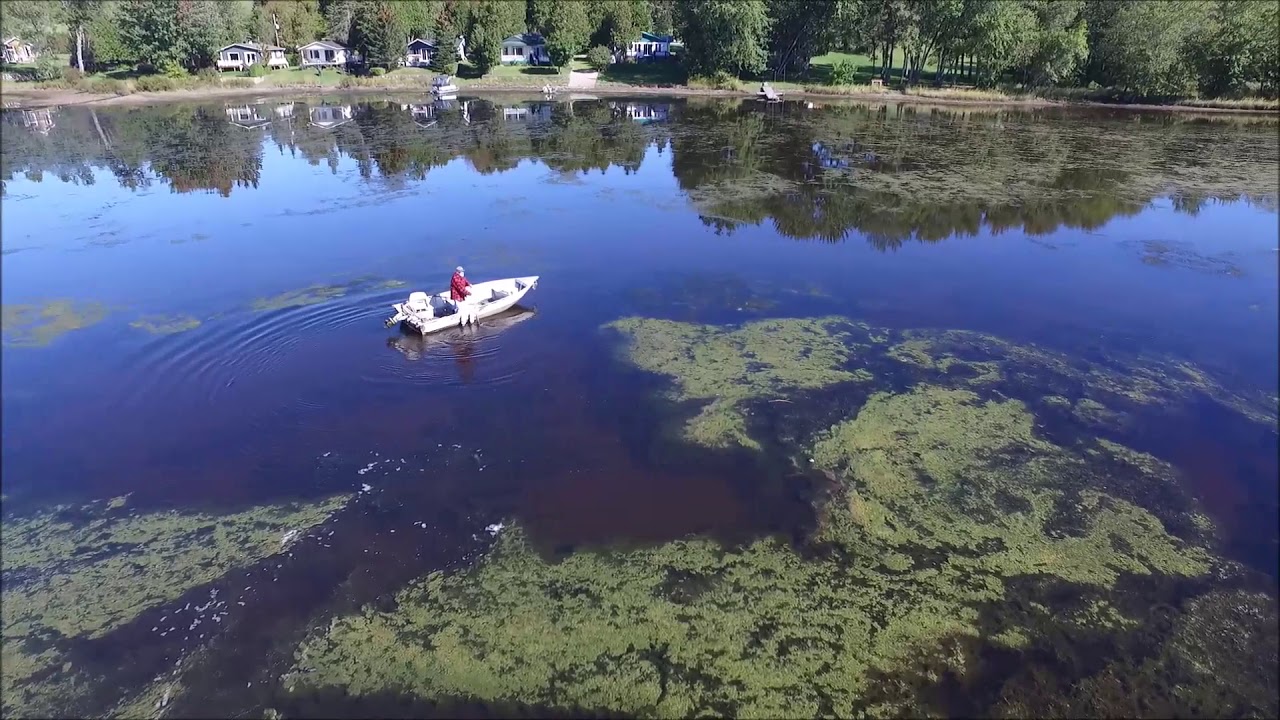 Dégradation du lac à la Truite (Vidéo)