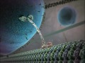 Inner Life Of A Cell - Full Version.mkv