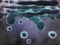 Inner Life Of A Cell - Full Version.mkv