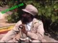 rasta man