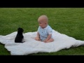 Bebe brincando com cachorro fofinho