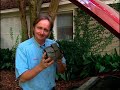 How To Check Out The Alternator On Your Car