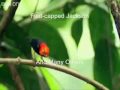 Jonowl's Best of BBC One