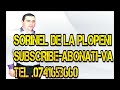 TOP 10 MELODIII MANELE SI POPULARA - Sorinel de la Plopeni 2014