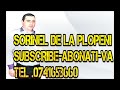 TOP 10 MELODIII MANELE SI POPULARA - Sorinel de la Plopeni 2014