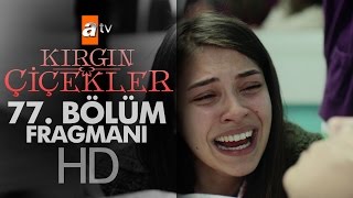 Kırgın Çiçekler 77.Bölüm Fragmanı