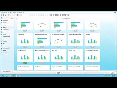 SAP Business One Demo - Analytics Features