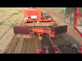 Tulpenbollen rooien / Tulip bulbs harvest - VidoFleur