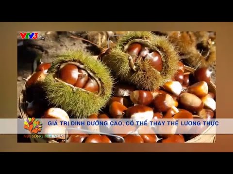Chè hạt dẻ củ năng