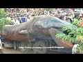 Unknown Monster Dug Up In Cambodia?