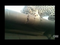 Cheetah gives safari-goers front row seats