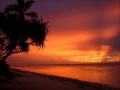 Tonga - Kalapu Feofaaki - Tokelau to i Mui Fonua