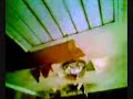 casa infestata