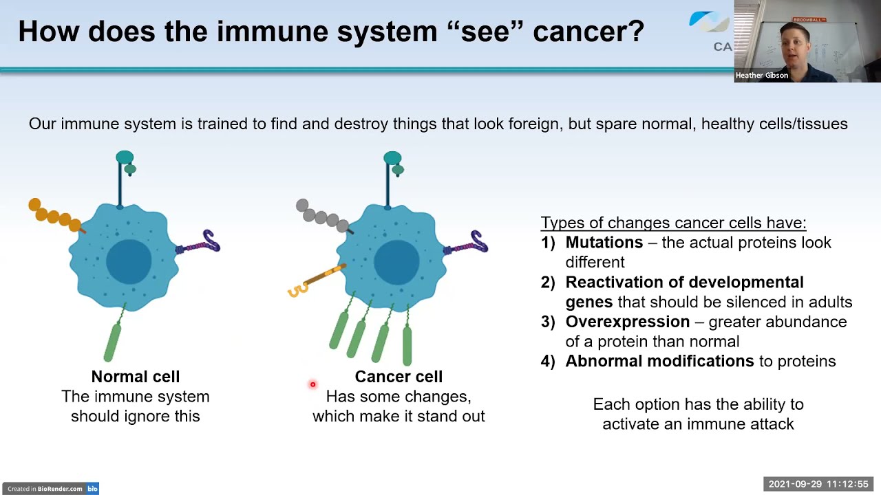 Understanding Immunotherapy in Cancer Treatment: Can we predict who will have better outcomes? video thumbnail