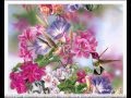 LIEN KHUC DUONG NGOC THAI.NHIEU CA SI