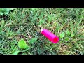 Nerf N-Strike Elite MEGA Centurion - Range Test (Stock)