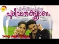 Aaru paranju - Pulivaalkalyanam