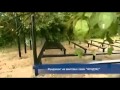 ленточный фундамент 6х6