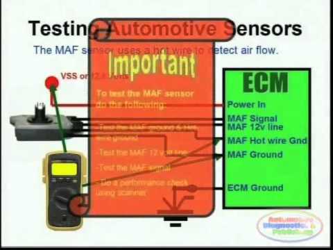 MAF Sensor & Wiring Diagrams