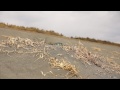 2012 HPI Baja Sand Meeting
