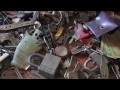 No Trespassing: The Art of Urban Exploration