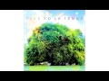Yo La Tengo - Paddle Forward