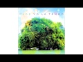 Yo La Tengo - Paddle Forward