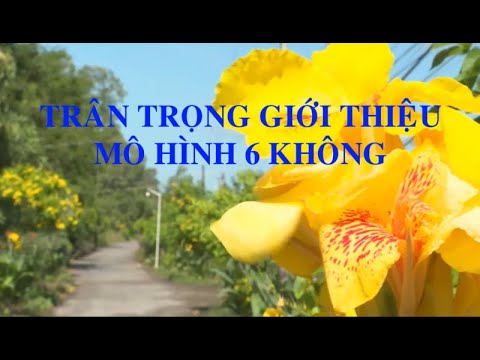 Mô hình 6 không  của Hội CCB ấp Năm Căn