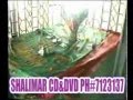 PROPHET AYUB GRAVE (dera ismail khan) PAKISTAN- YouTube.flv