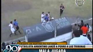 Futbolista lanzó con furia a perro a tribuna en pleno partido