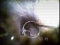13811 SE Knight sewer line video