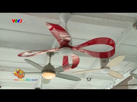 Quạt trần đèn trong trang trí nội thất