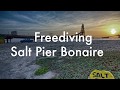 Freediving Salt Pier Bonaire | Apnoe