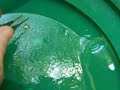 Gold Nugget Hunting - Crevicing Part 1