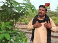 Koi Wasda Sajan Hor Lab | Yaseen Mahi | New Songs 2015 | Thar Production