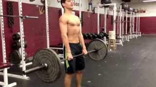 What muscles do power cleans work?