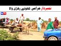 Number Daar Harami Khotay Wala Noori  Top Funny Video  New Funny Punjabi Comedy Video  You Tv HD