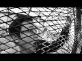 Youssoupha - Gestlude part1 (ft. Sam's) Youssoupha - Gestlude part1 (ft. Sam's)