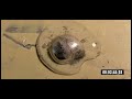 Mercury Attacks Aluminum -amalgam WEIRD!