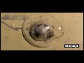 Mercury Attacks Aluminum -amalgam WEIRD!