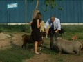 Bambini e animali Bambini e animali