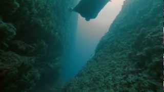 Aqua Lung Oceanwings / The underwater human flight experience