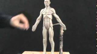 How to Sculpt the Human Figure in Clay