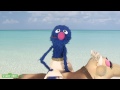 Sesame Street: Grover Stars in