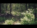 Why We Run - Salomon Running TV S3 E01