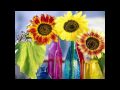 Shes a Rainbow - Rolling Stones
