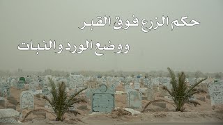 1232 - حكم الزرع فوق القبر ووضع الورد والنبات - عثمان الخميس
