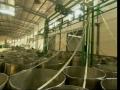 How Plastic Bottles Are Recycled Into Polyester