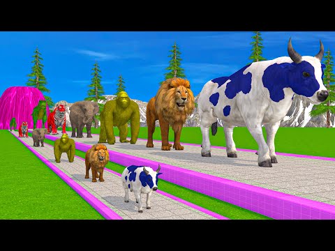 Paint & Animals Cow,Gorrila,Elephant,Dinosaur,Tiger,Lion, Fountain Crossing Transformation Cartoon